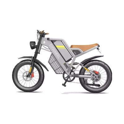 Xe đạp trợ lực điện Coswheel FTN T26