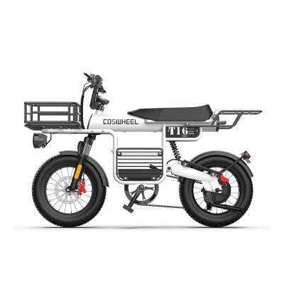 Xe đạp trợ lực điện COSWHEEL T16