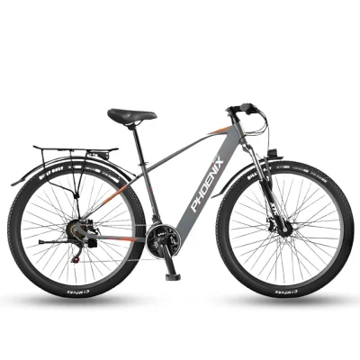 Xe đạp trợ lực điện Phoenix 599