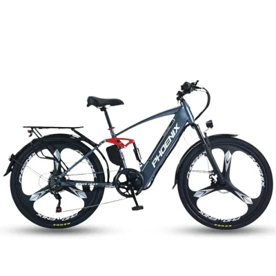 Xe Đạp Trợ Lực Điện Phoenix Q1